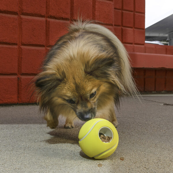 KONG Rewards Tennis Dog Toy Small - Gambar 3