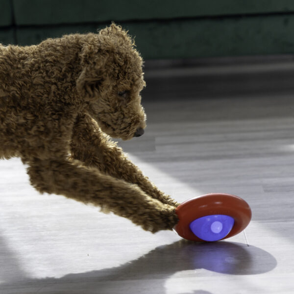 KONG Gyro Dog Toys Small Dispenses Food & Treats - Gambar 5