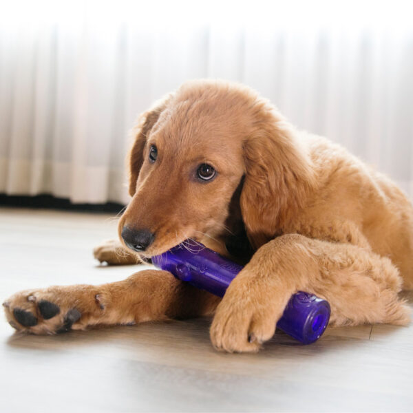 Kong Squeezz Stick Dog Toys - Gambar 5