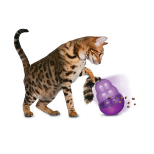 Kong, mainan kucing, cat toys, cat toy