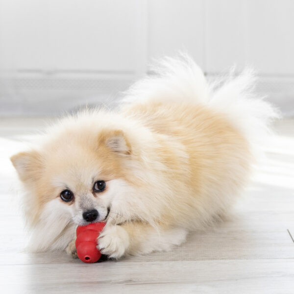 KONG Classic Dog Toys - Gambar 3