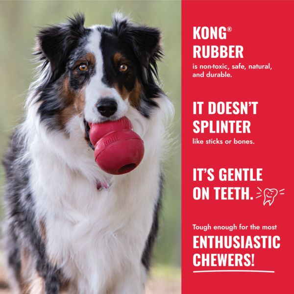 KONG Classic Dog Toys - Gambar 6