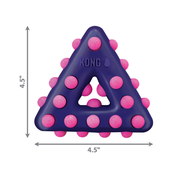 KONG Dotz Triangle Dog Toys - Gambar 2