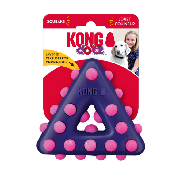 KONG Dotz Triangle Dog Toys
