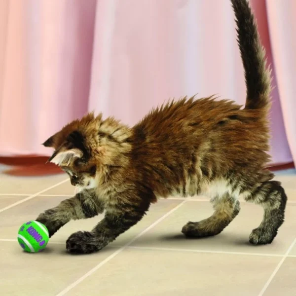 KONG Tennis Balls With Bells Cat Toy - Gambar 3