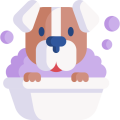 dog.png